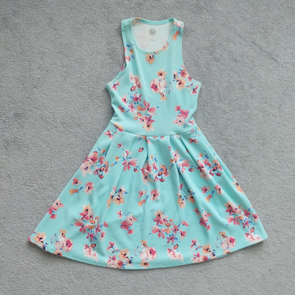 Sleeveless Blue Floral Dress